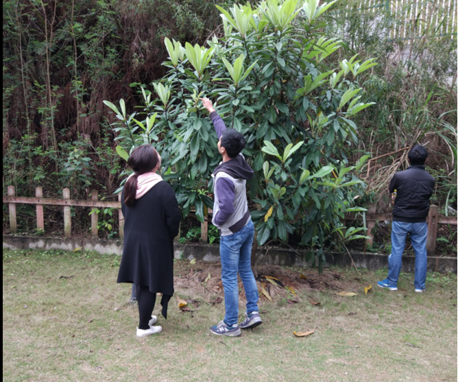 1551943948203744.png 20170407112066376637.png